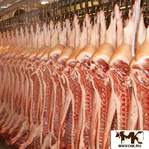 Мясо свинина,   фасовка передок,   середина,   задок,   по
