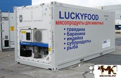Почки бараньи мясо для животных