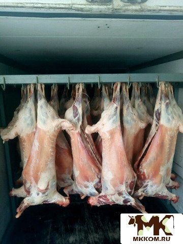 Рефрижератор тушевоз до 4 тон -2020 мясо