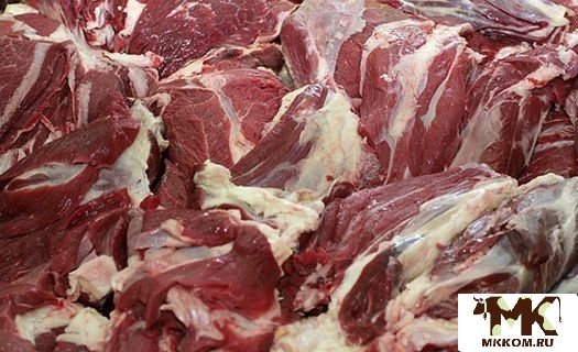 Мясо конины 2 сорт для казы,   для фарша