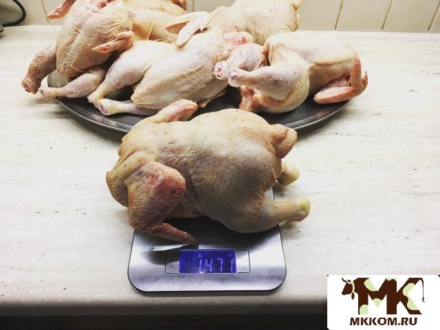 Фермерские продукты яйца и мясо птицы