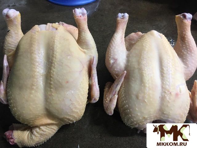 Мясо птицы,  бройлер,  лапы,  головы,  субпродукты