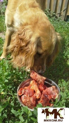 Мясо для собак и кошек,  рубец,  субпродукты