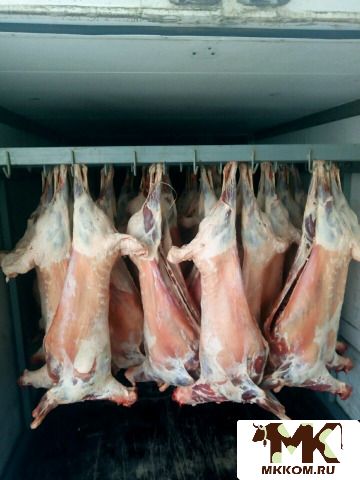 Рефрижератор тушевоз до 4 тон -2020 мясо