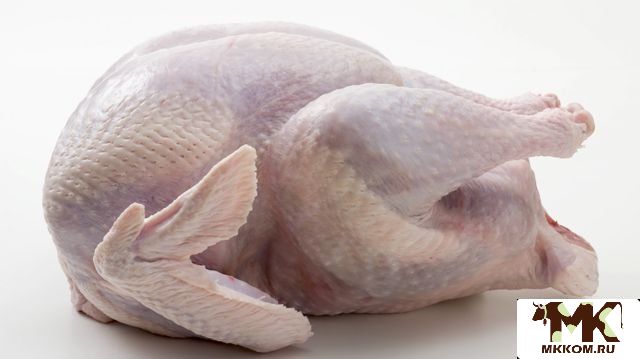 Мясо индейки в тушках с доставкой на дом спб и ло