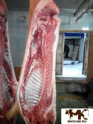Продаю Мясо свинина и субпродукты свиные