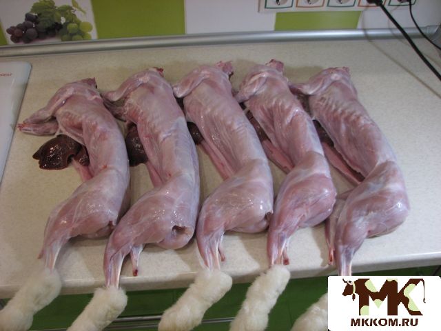 Купить Мясо Кролика В Краснодарском Крае