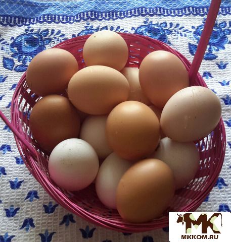 Продукты яйцо, мясо птицы