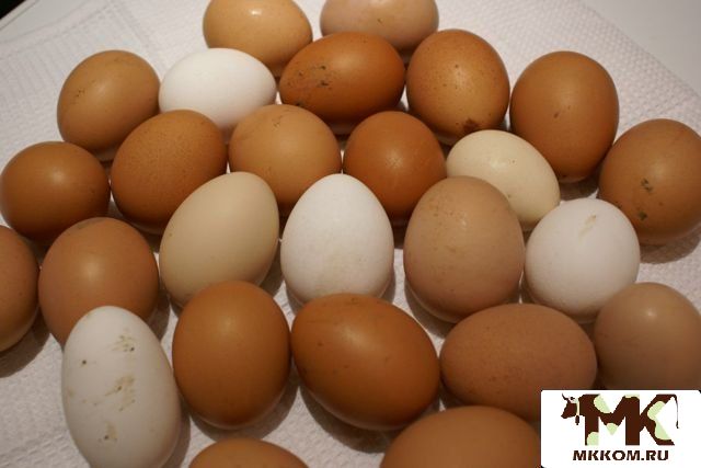 Продукты фермерские(мясо бройлеров,молочная продук