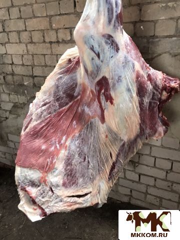 частное шлюшка Мясо говядина от 250 руб в Ивановской области | Частные объявления