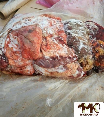 Мясо для животных, субпродукты, вырезка говяжья