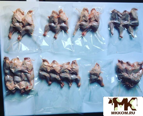 Тушки Яйца перепелов и другая продукция из мясо пе