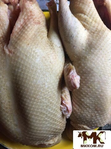 Мясо. Индоутка