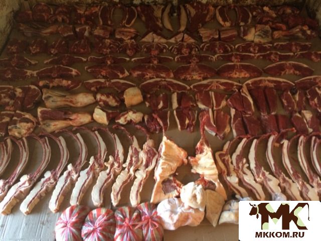 Мясо конина согым (1 табак,  1,  4,  2,  4, 3,  4,  полностю