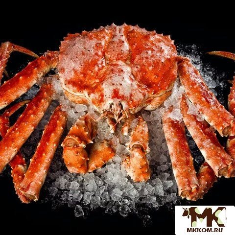 Раки,    Краб,    мясо краба,    трепанг,    морепродукты