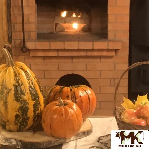 Мясо птицы,     козье молоко,     творог и другие продукты