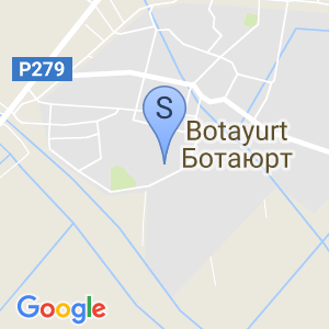 Ботаюртовская