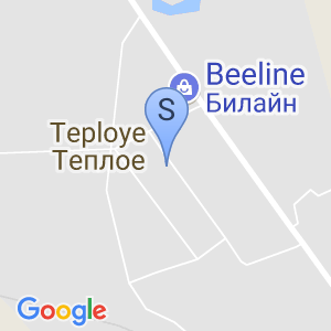 Тульский Пионер